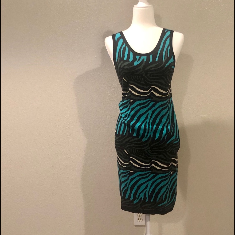 Colorful Zebra Dress